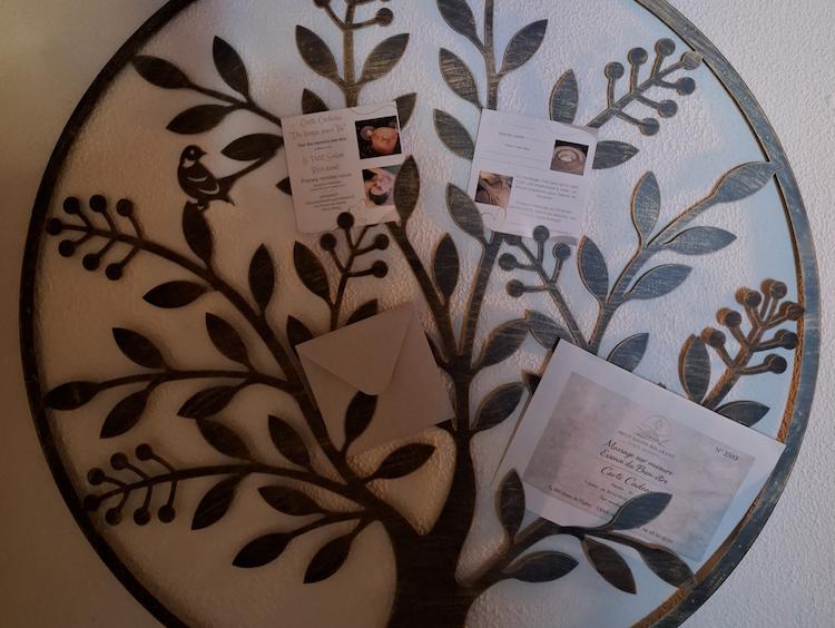 Photographie d'une décoration murale en forme d'arbre de vie, avec des bon cadeaux dans les branches.